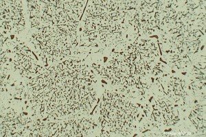 Austenitic Stainless Steel High Mag