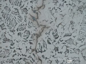 Early stages of HTHA